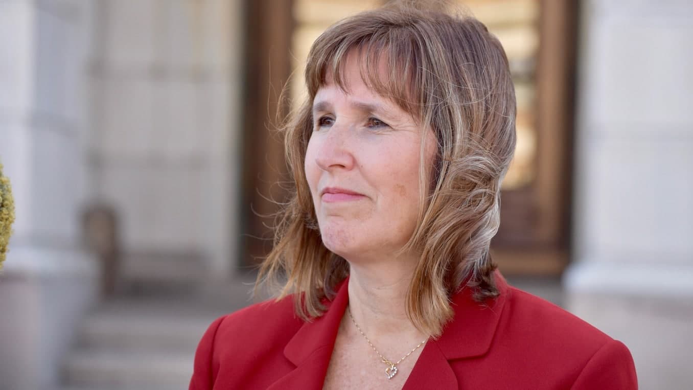 Campaign Kick-Off event for Michelle McGaw for District 71