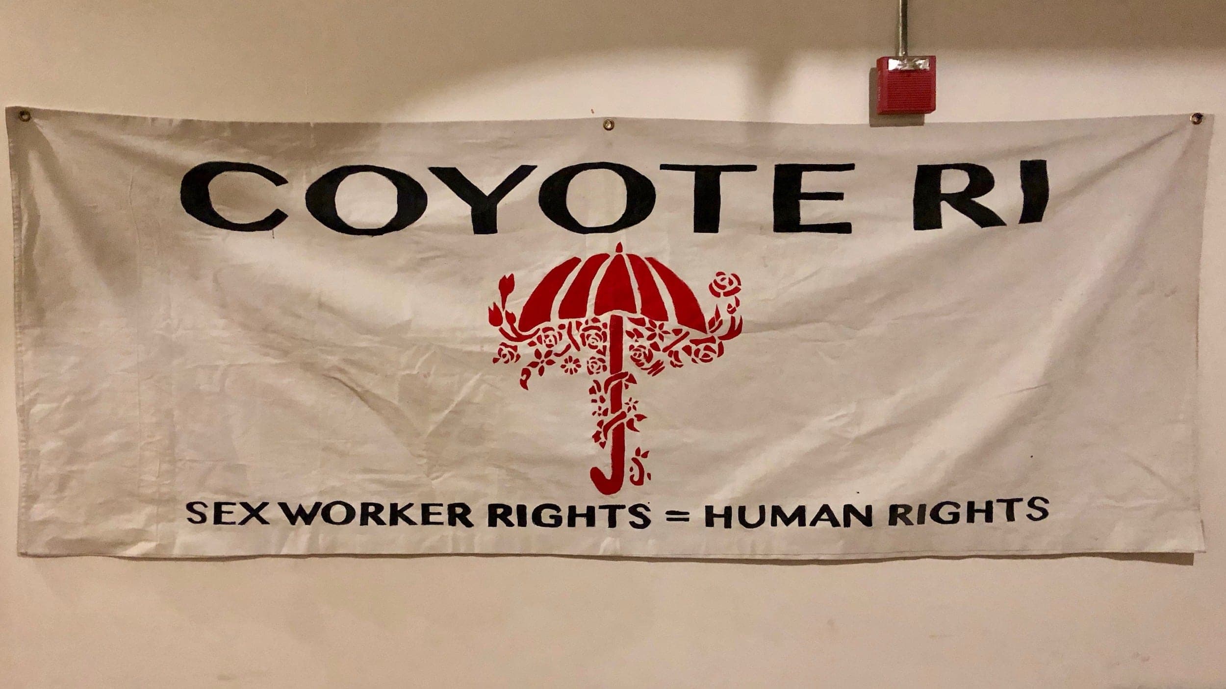 Sex Workers enter the national landscape as presidential candidates consider sex work-study