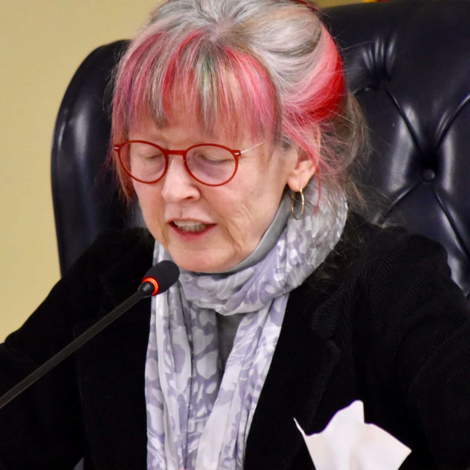 Invenergy must show-cause at hearing to avoid indefinite suspension of power plant plans