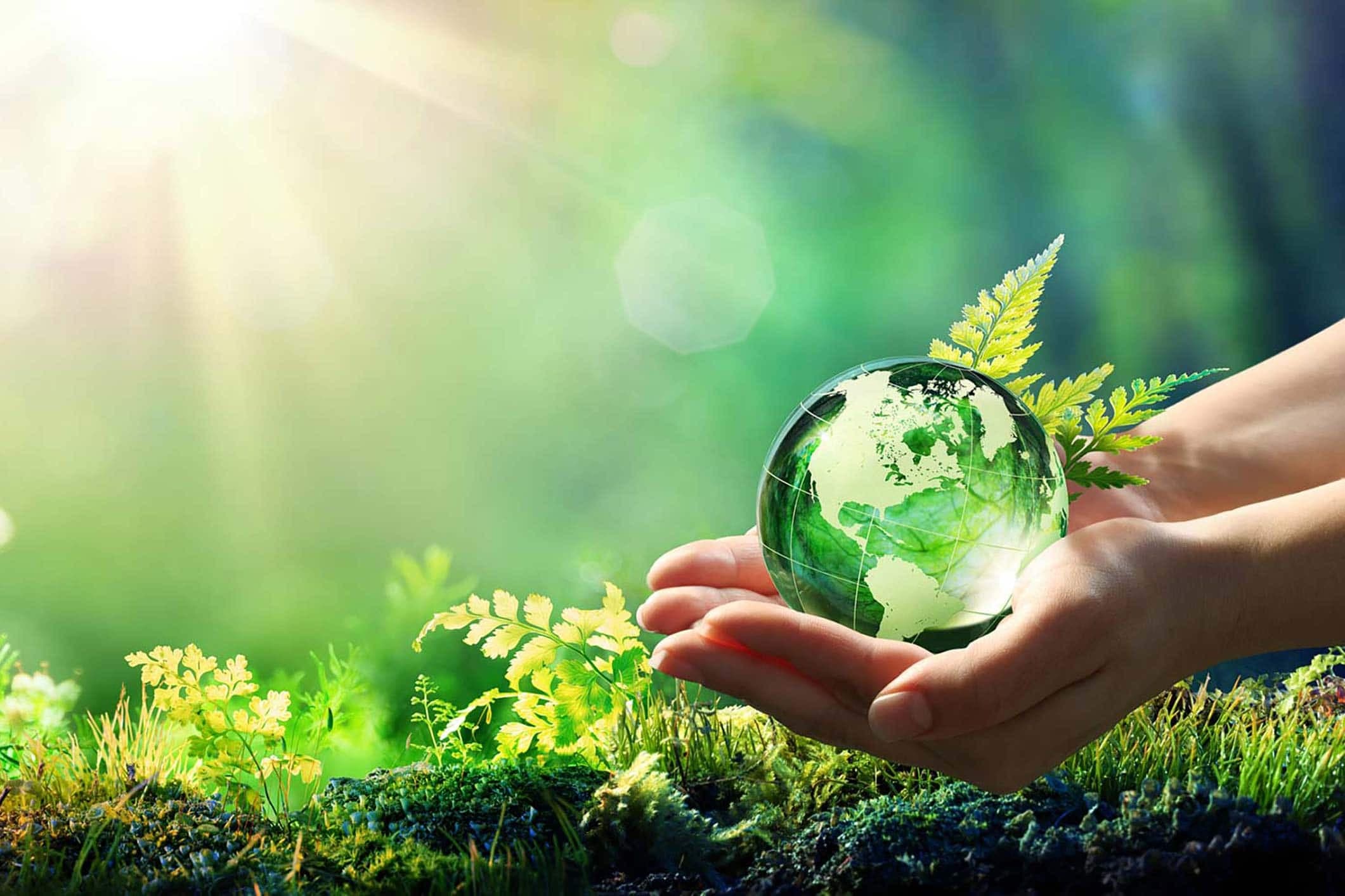 2021 Environmental Rankings Demonstrate Lack of Leadership