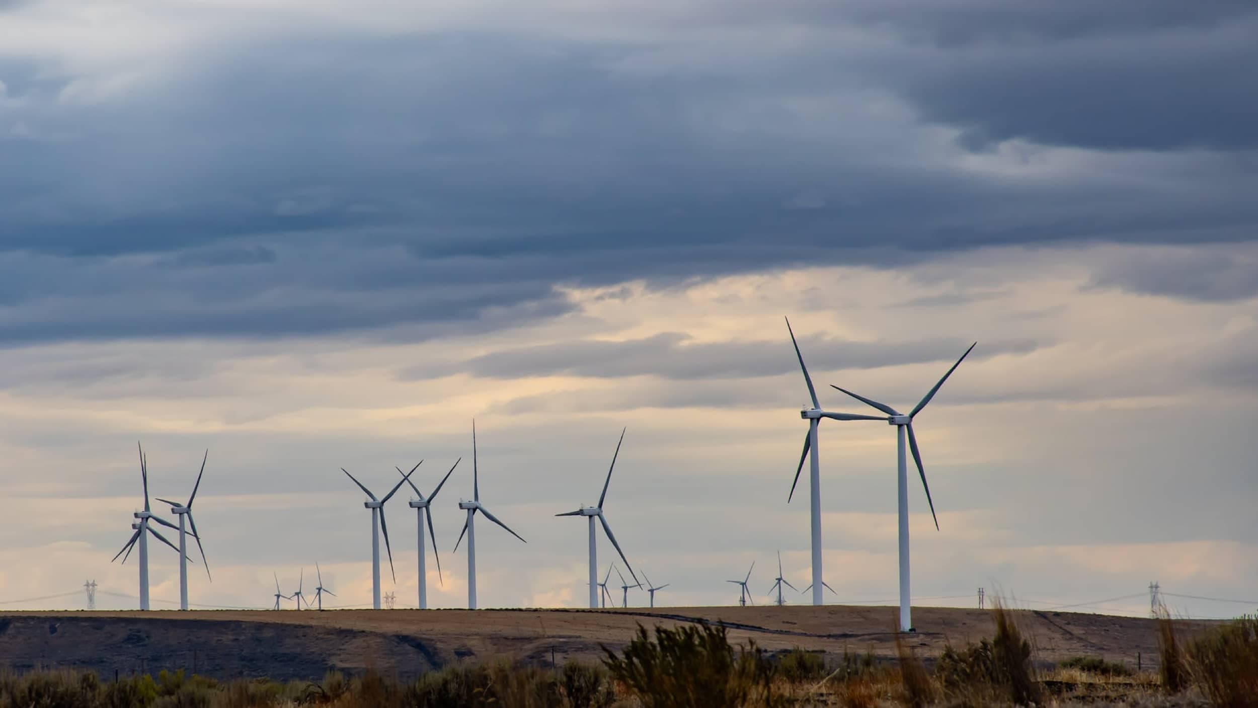 Environment Council of Rhode Island announces their 2020 legislative priorities