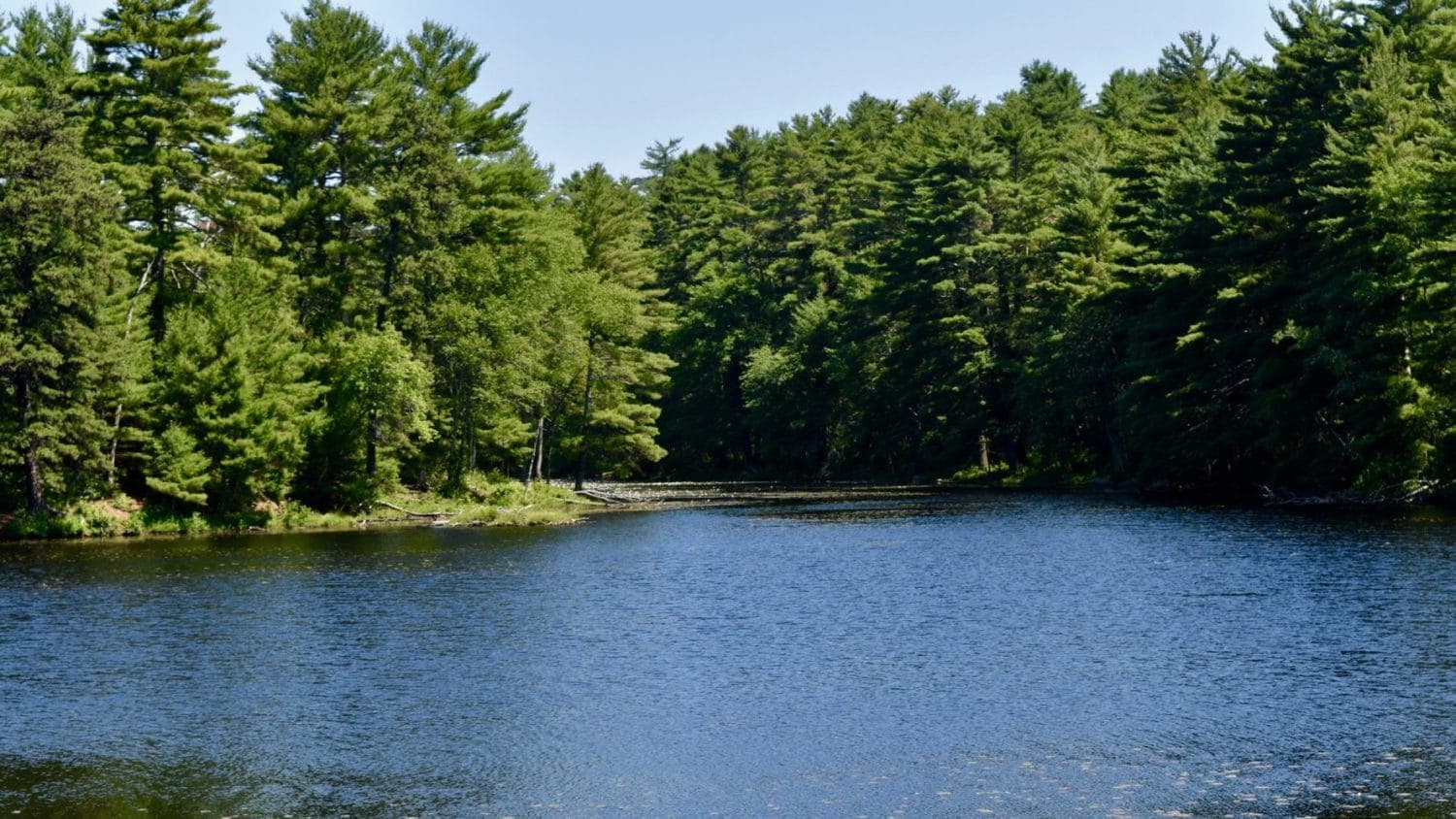 Governor Raimondo set a 100% renewable energy goal; The Progressive Democrats have a plan