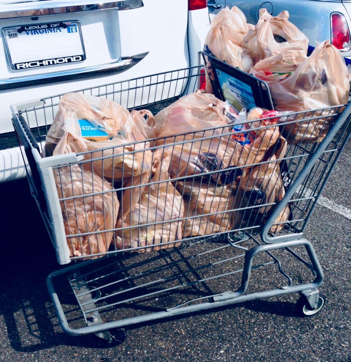 Plastic bags are bad, negatively impacting poor people is worse, says REJC