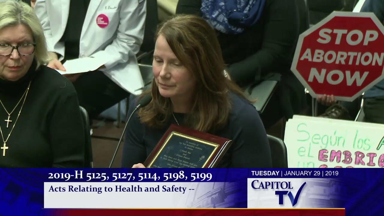 2019-01-30 House Judiciary 85