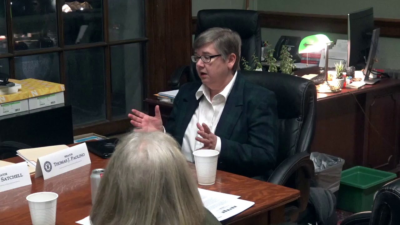 2020-02-04 Doula Bill Senate 20