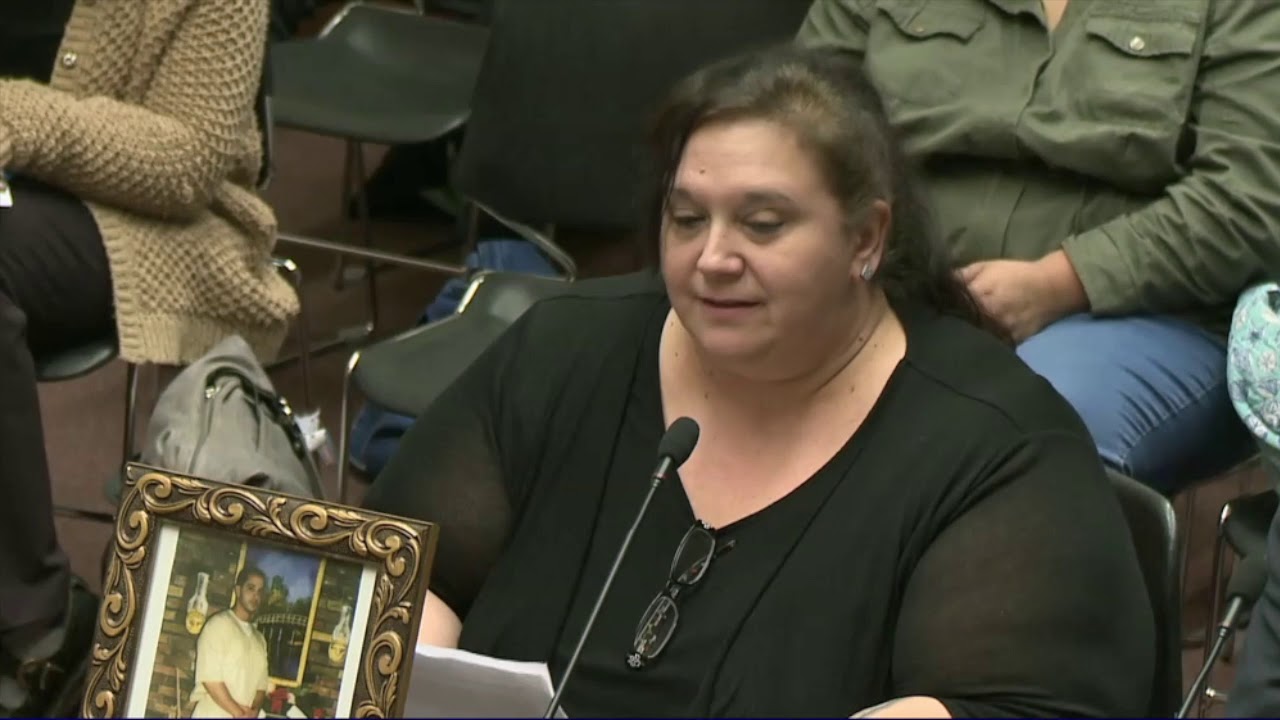 2019-03-05 Juvenile Parole H5333 05