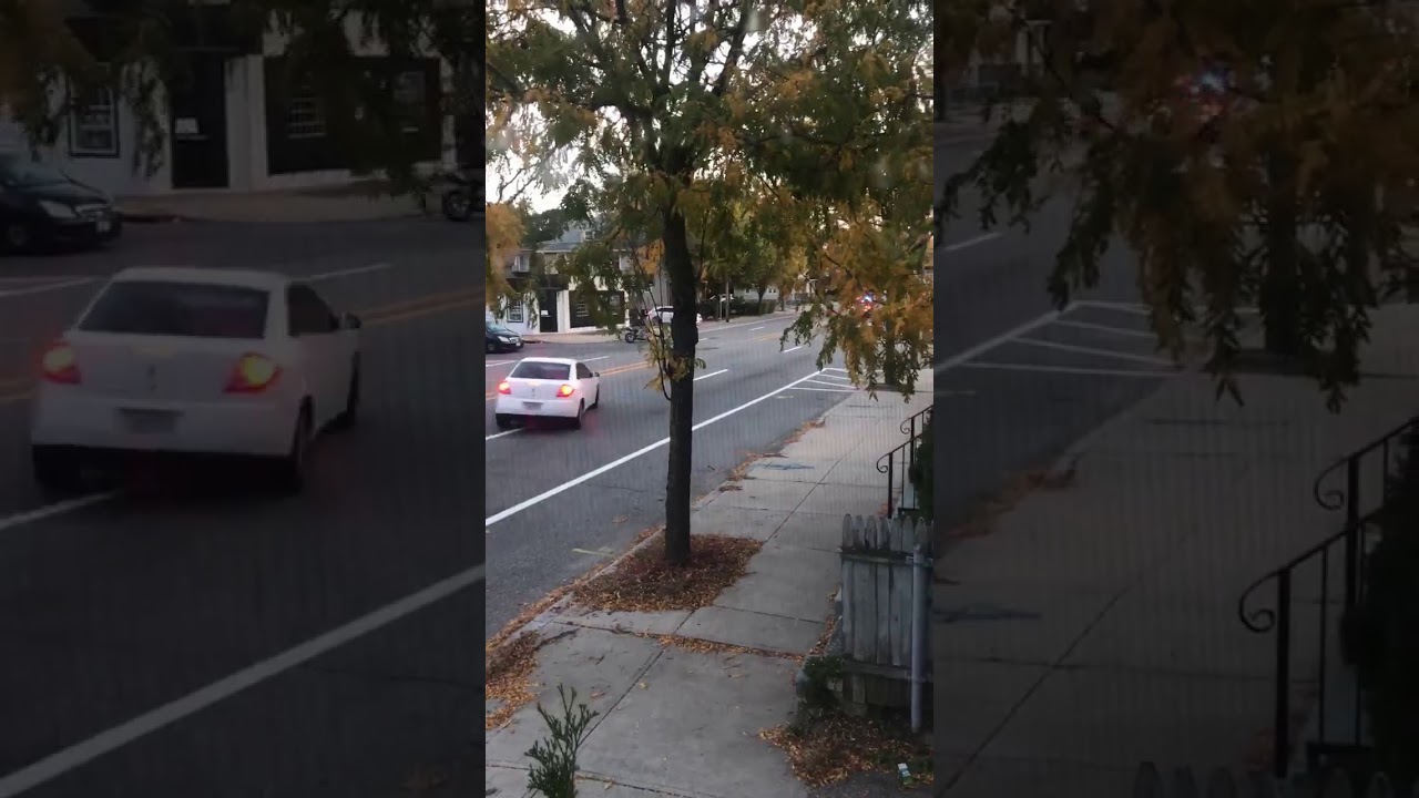 10/18 - Cell phone video footage LL