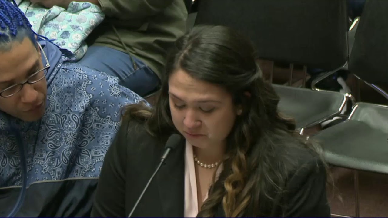 2019-03-05 Juvenile Parole H5333 12