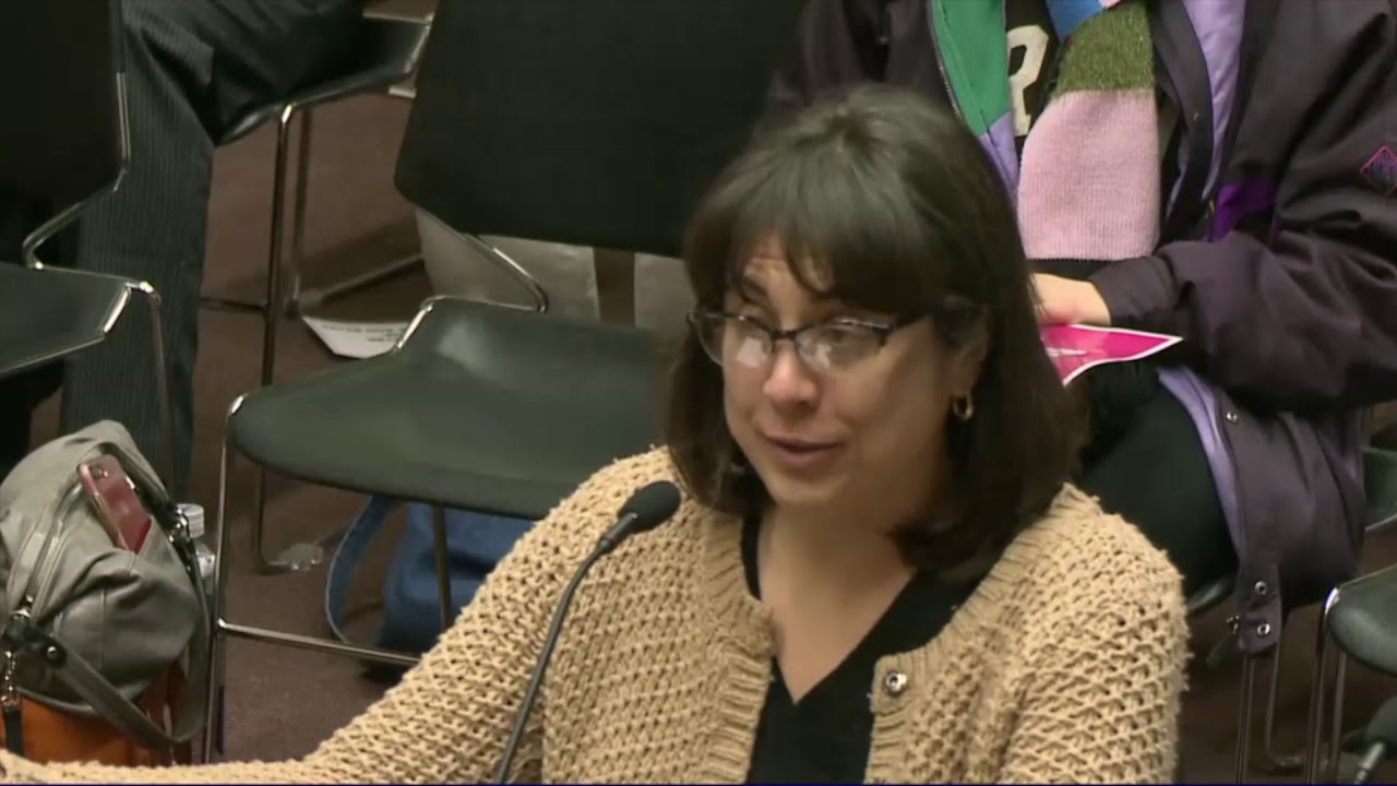 2019-03-05 Juvenile Parole H5333 18