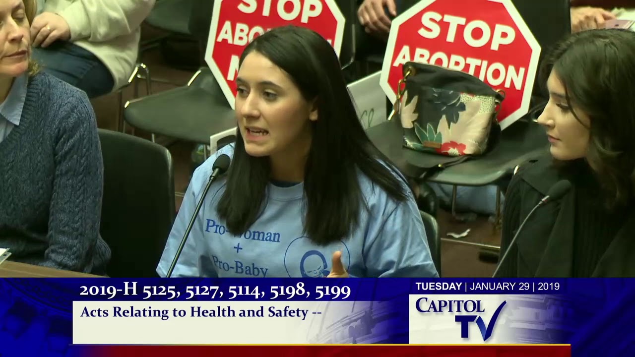 2019 01 30 House Judiciary 134