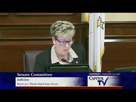 2021 02 25 Senate Judiciary 09 Testimony   HD 720p