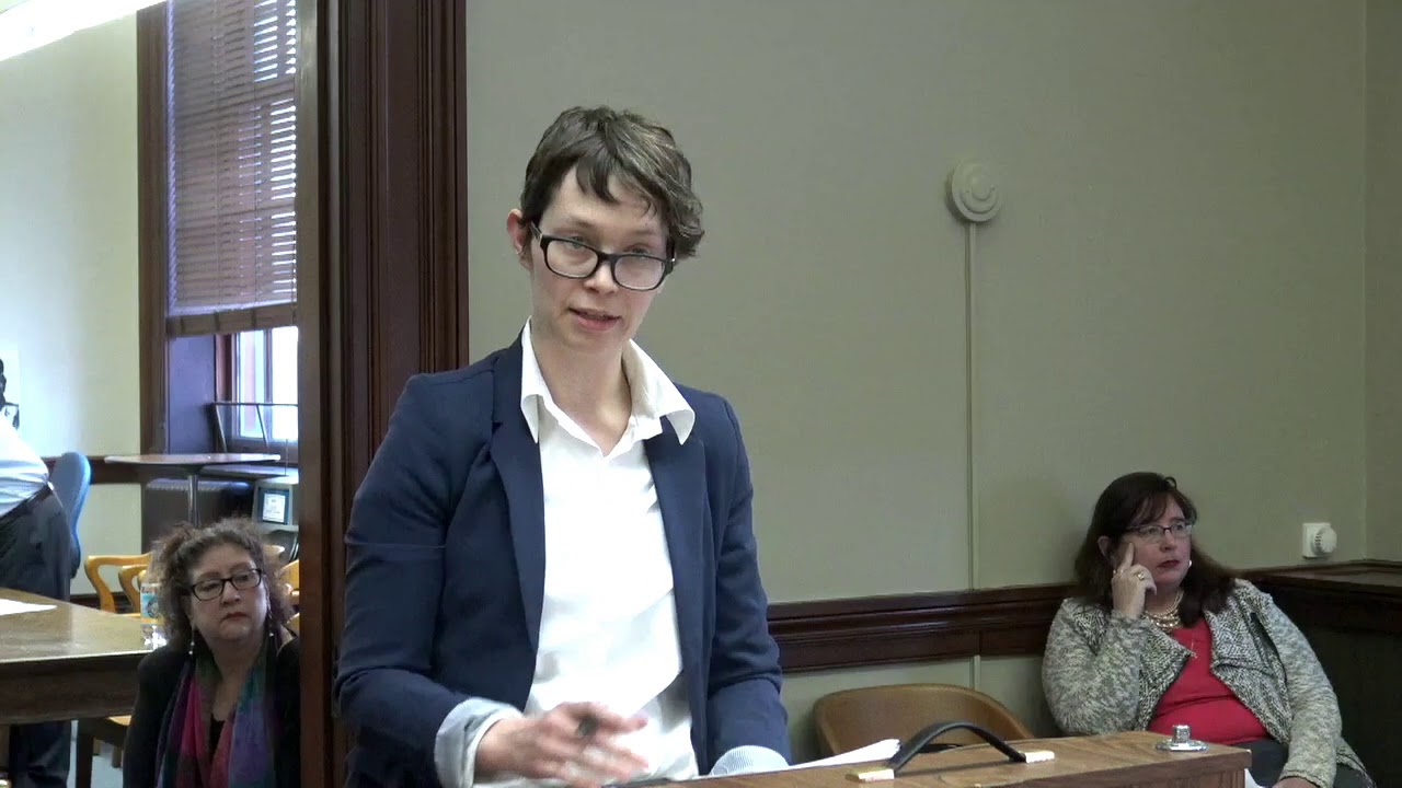 2019-03-20 Uniform Parenting Act 06