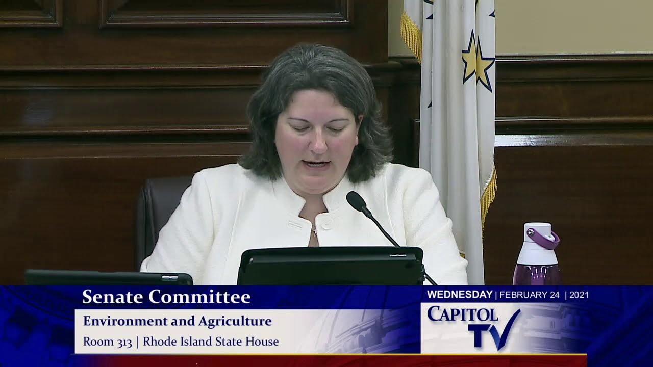 2021 02 24 Senate Enviro 09   HD 720p