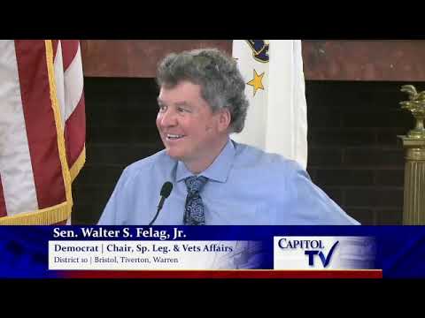 2021 03 24 Senate Committee on Special Legislation & Veterans Affairs