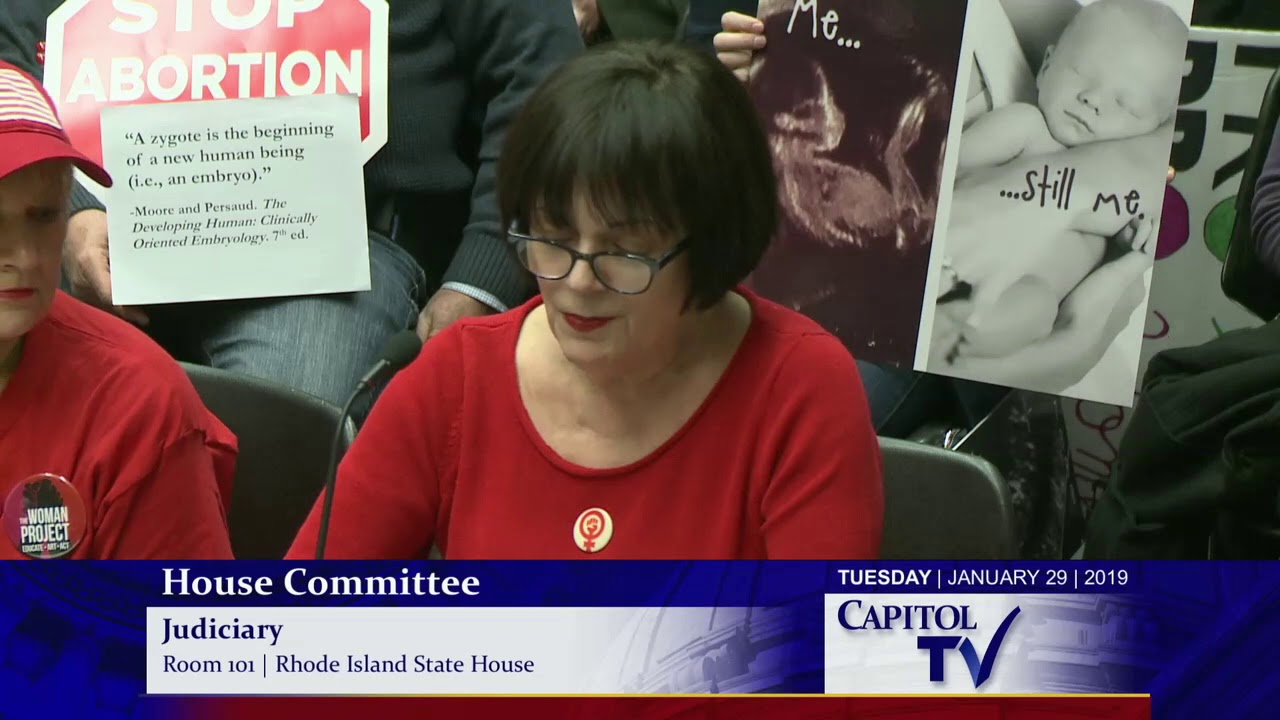 2019-01-30 House Judiciary 37