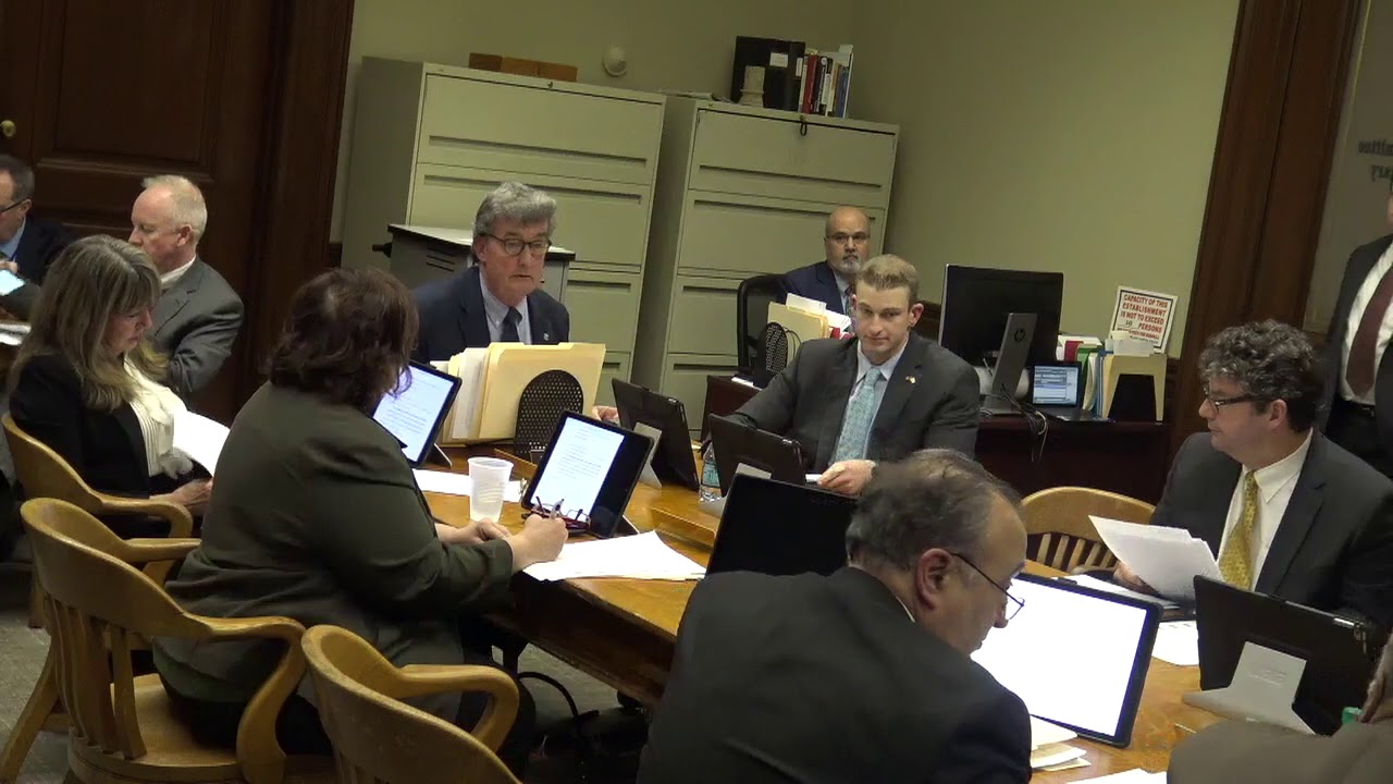 2019-01-23 House Judiciary 04