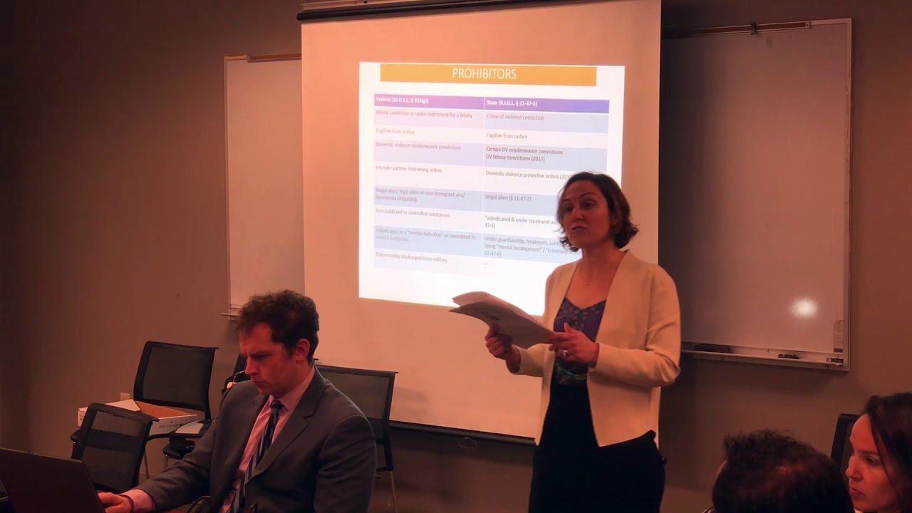 2018-04-23 Gun Safety Working Group - Adi Goldstein