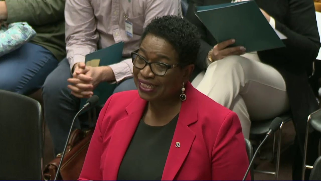 2019-03-05 Juvenile Parole H5333 01