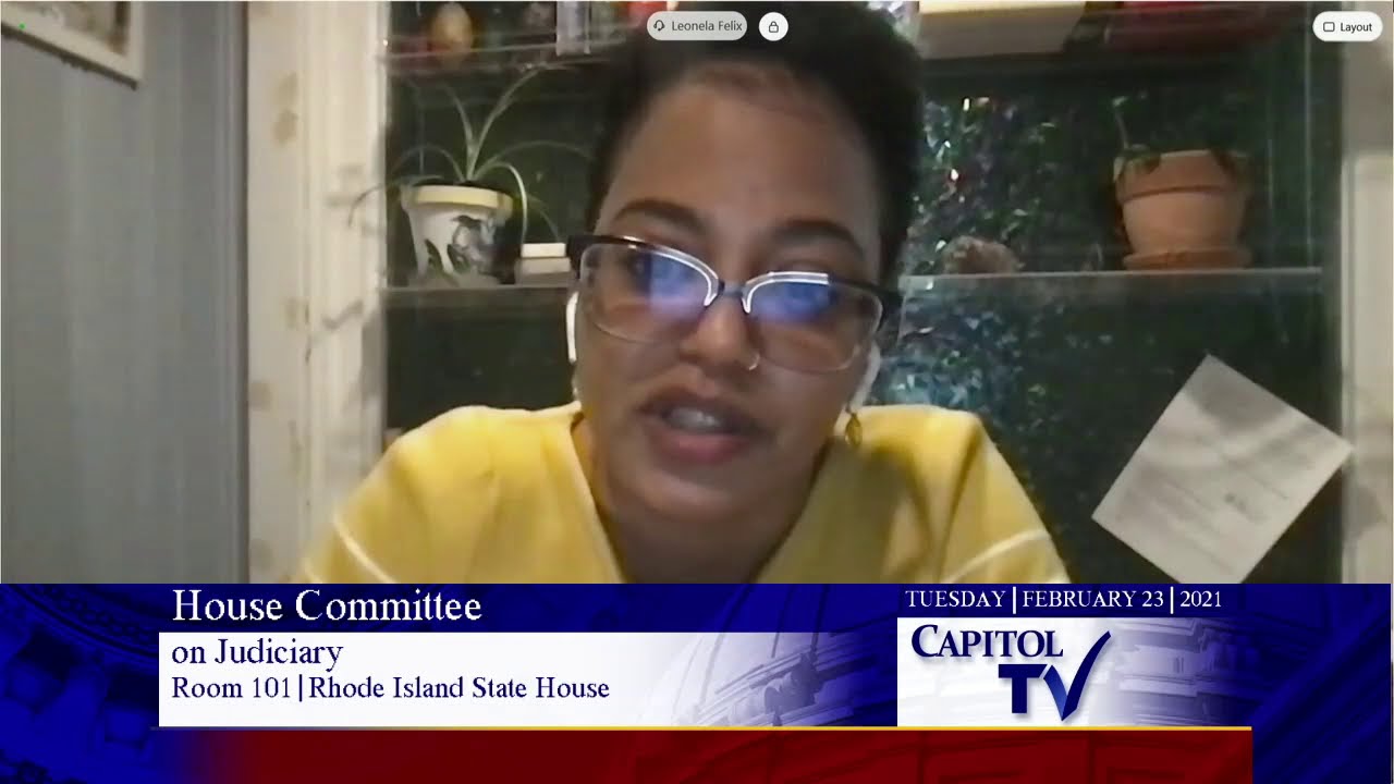 2021 02 23 House Judiciary 20   HD 720p