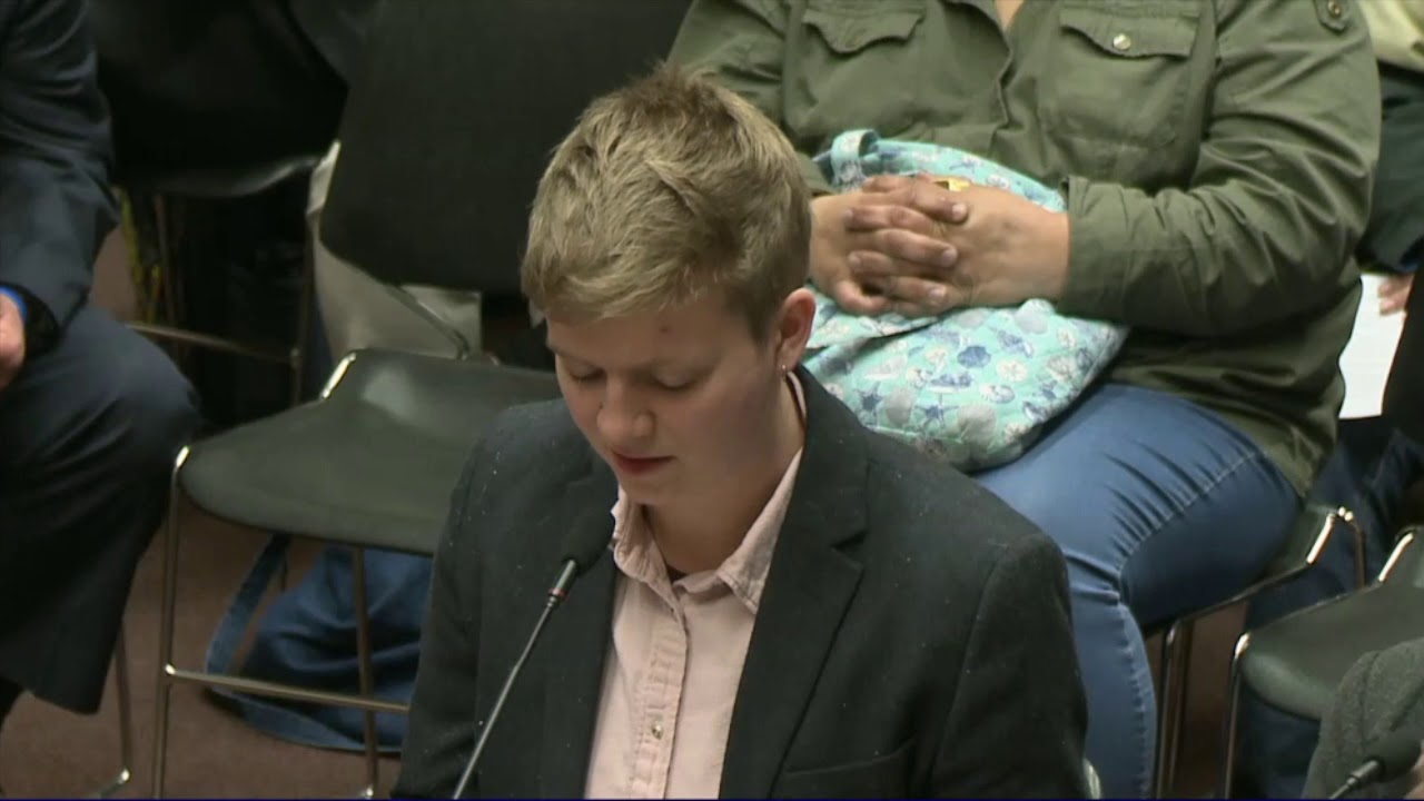 2019-03-05 Juvenile Parole H5333 04