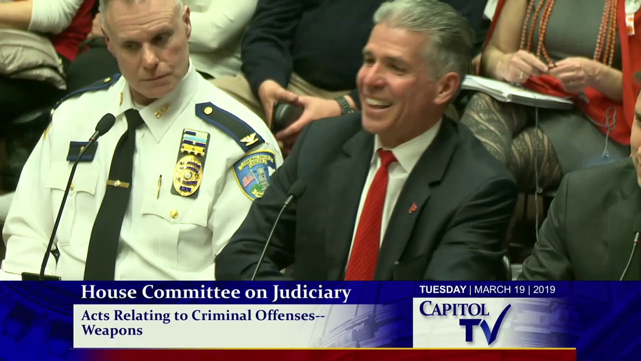 2019-03-19 House Judiciary - Guns 19