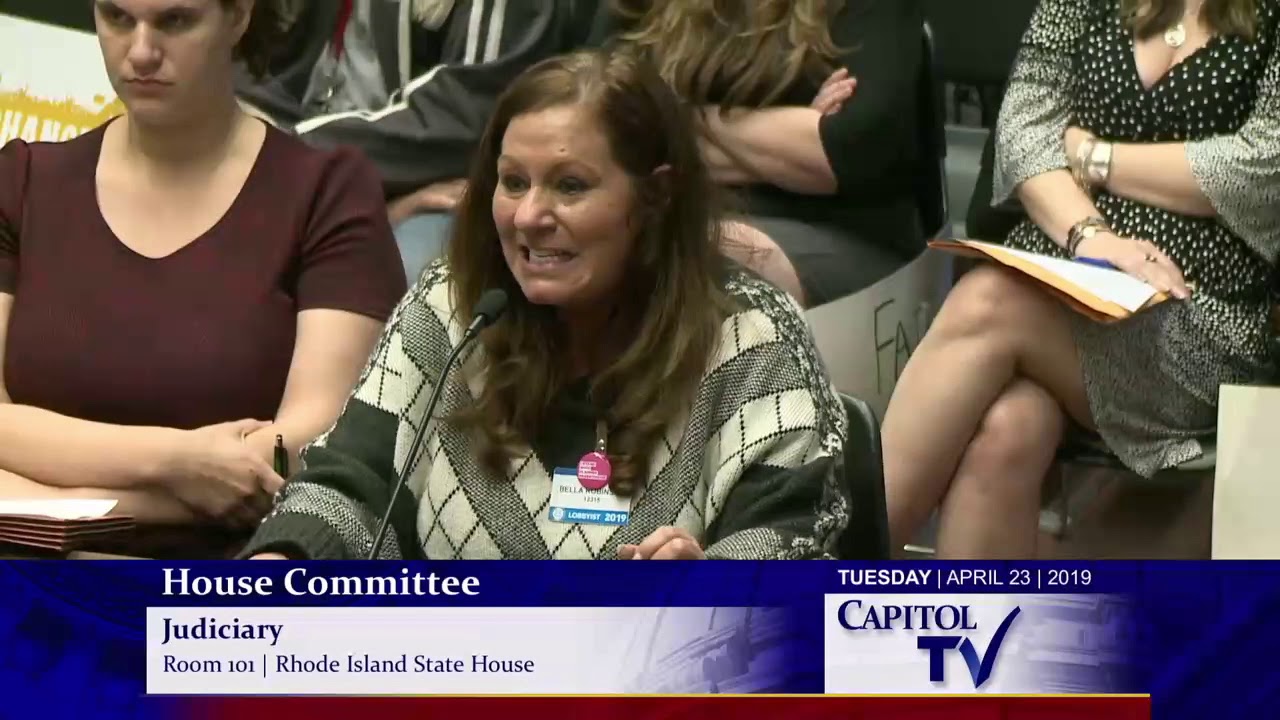 2019-04-23 House Juciciary 05