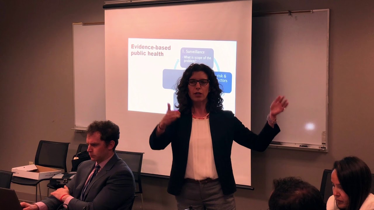 2018-04-23 Gun Safety Working Group - Megan Ranney