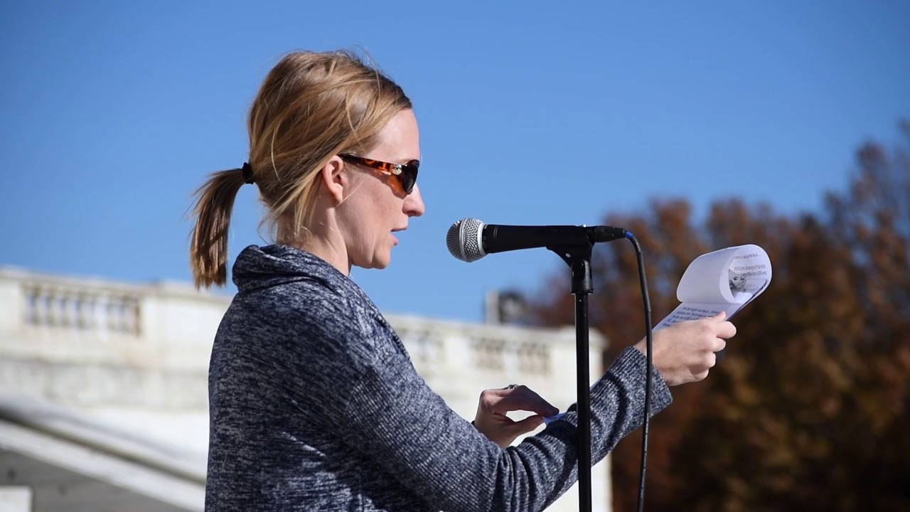 2017-11-25 Kill the Trump Tax Scam Rally 05