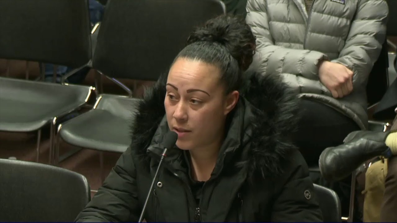 2019-03-05 Juvenile Parole H5333 17