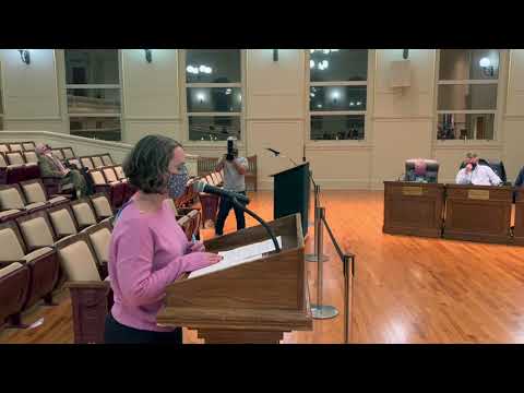 Never Again Action testifies at the Warwick City Council 04 - Libby Merrill