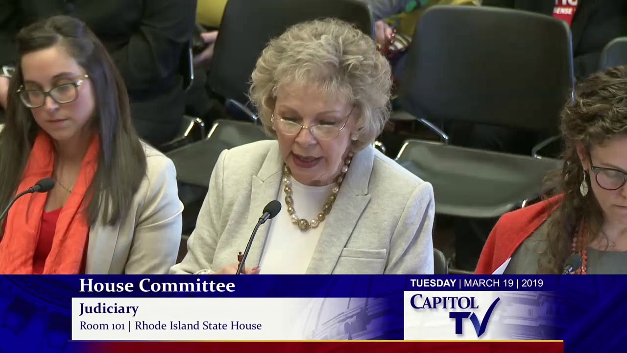 2019-03-19 House Judiciary - Guns 01