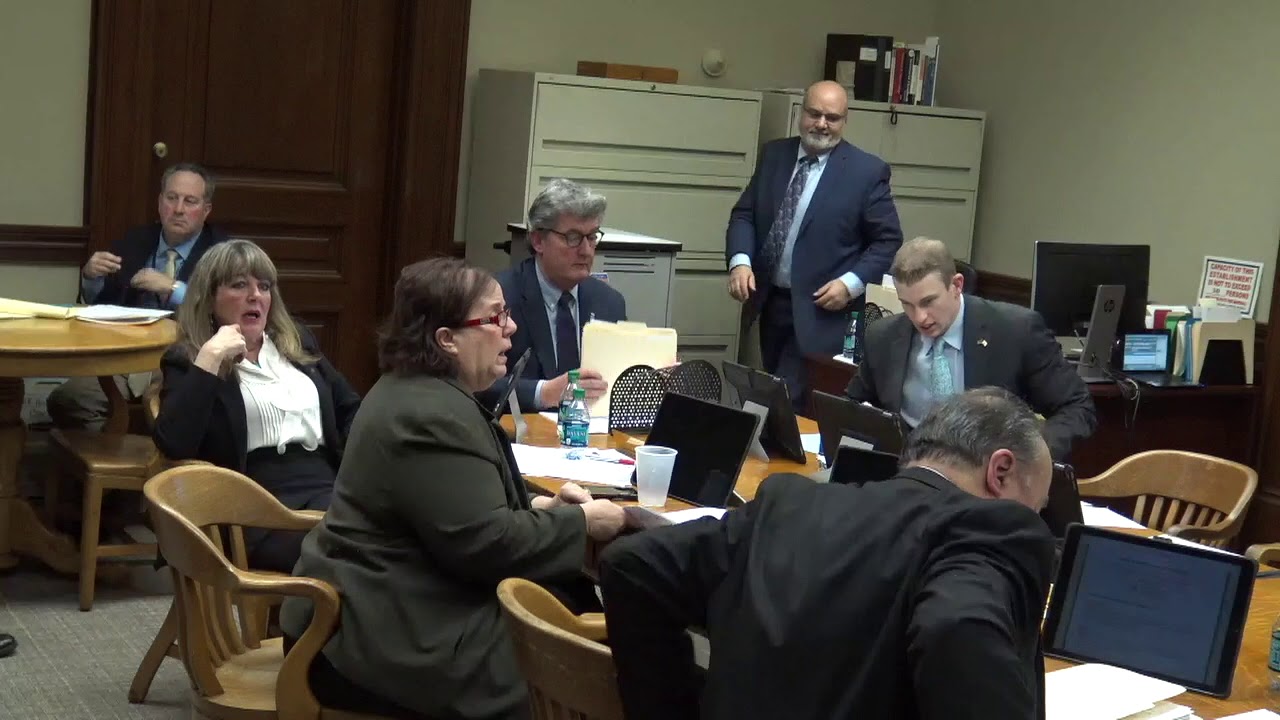 2019-01-23 House Judiciary 12