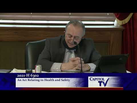 2021-05-17 House Committee on State Government and Elections
