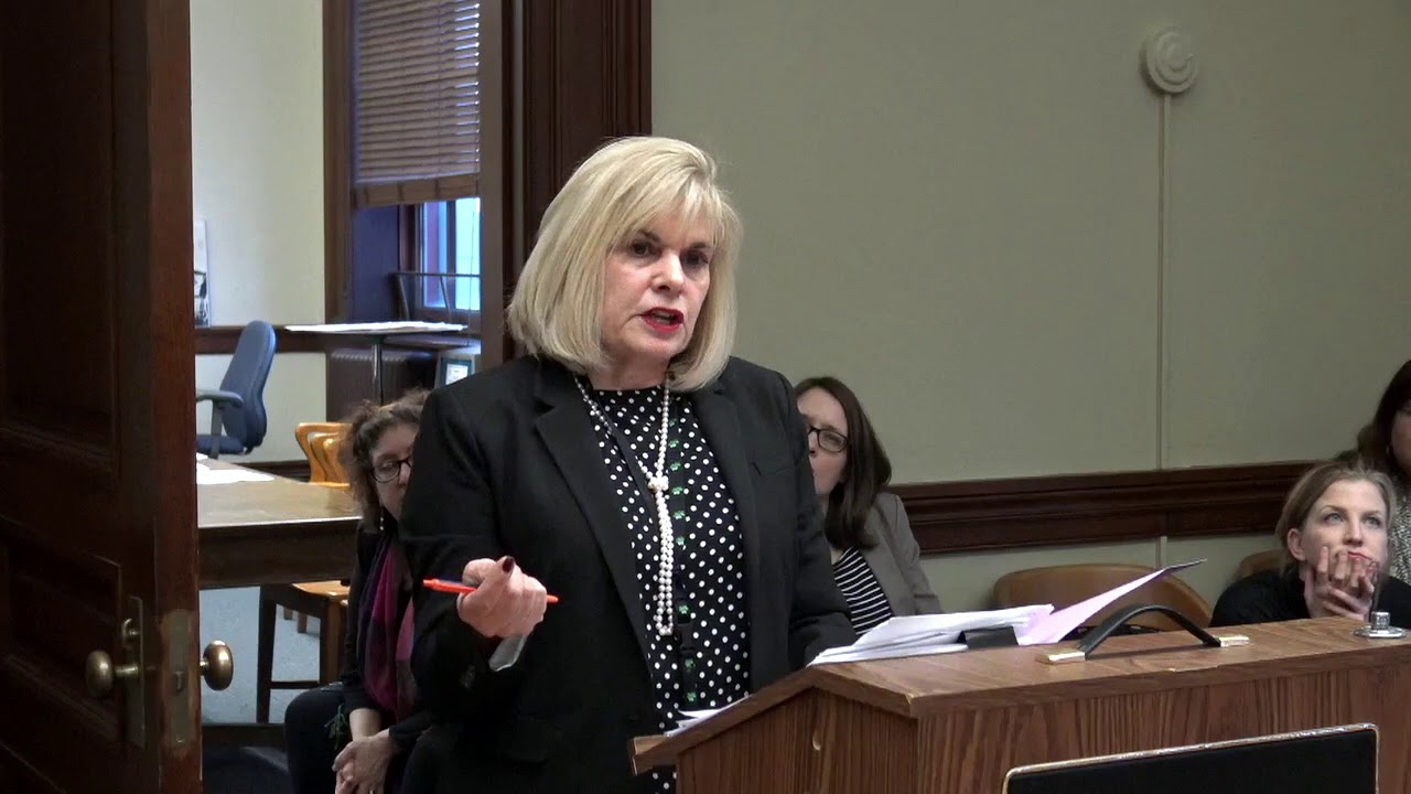 2019-03-20 Uniform Parenting Act 08