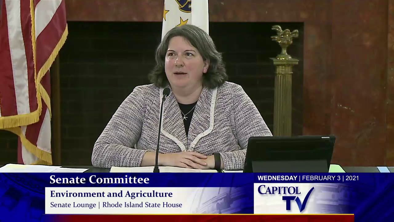 2021 02 03 Senate Enviro 03   HD 720p