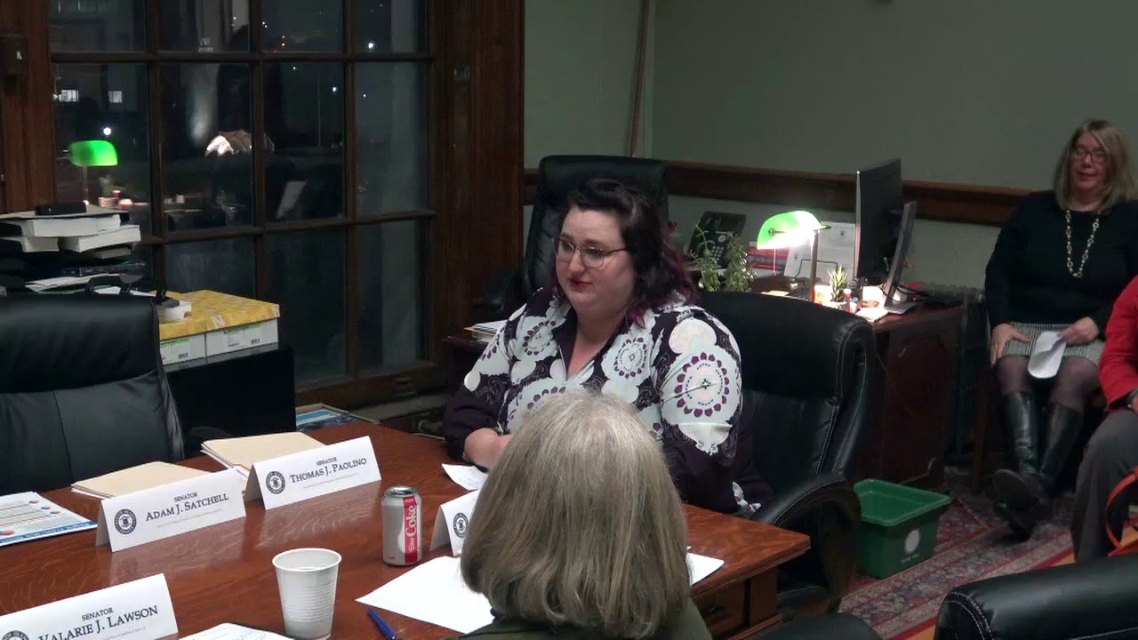 2020-02-04 Doula Bill Senate 15