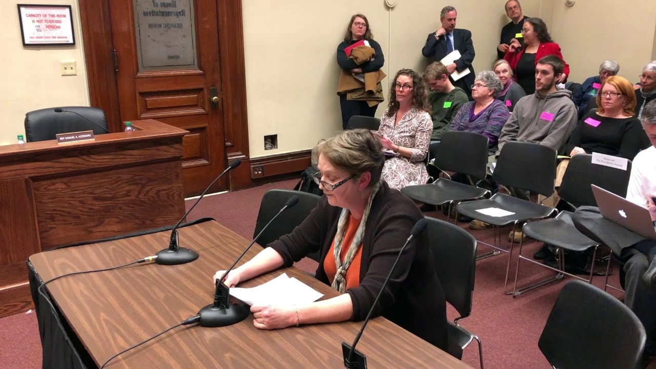 2019-01-08 House Committee on Rules 28