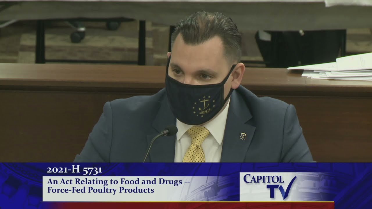 2021 03 24 House Judiciary 01