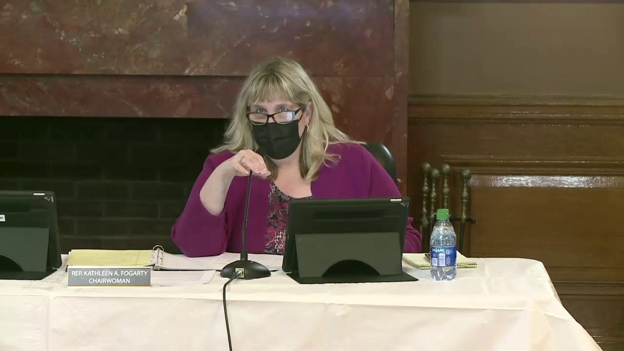 RI House Special Legislation Committee Discusses the State Coral, Replacing Victory Day, and More