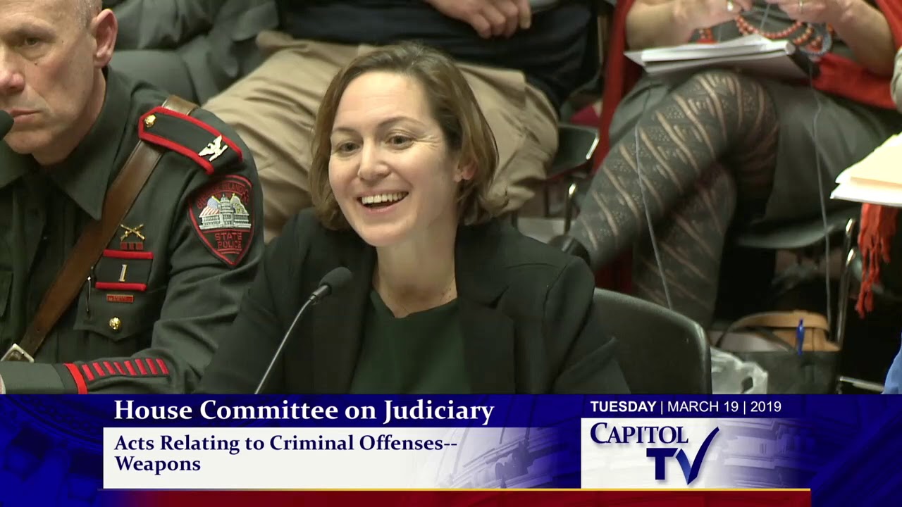 2019-03-19 House Judiciary - Guns 15