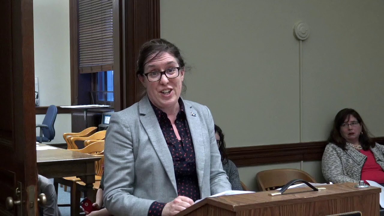 2019-03-20 Uniform Parenting Act 10