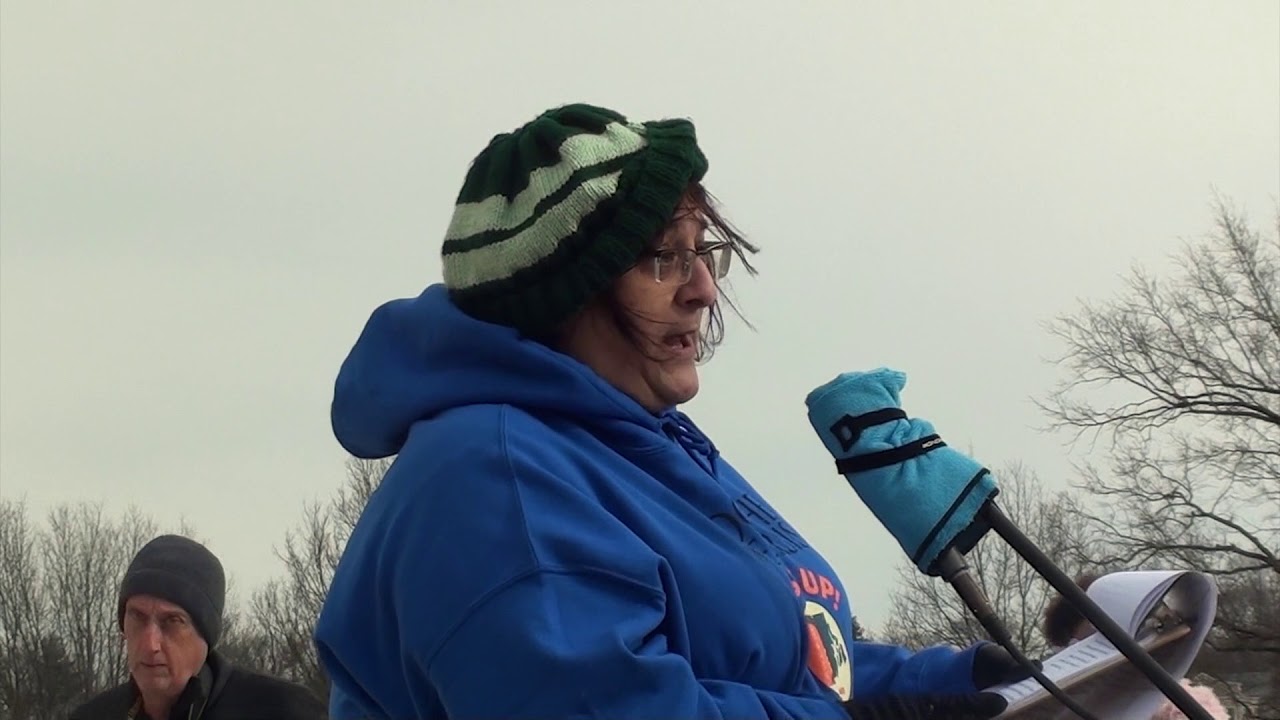 2018-01-2 Women's March 2018 01