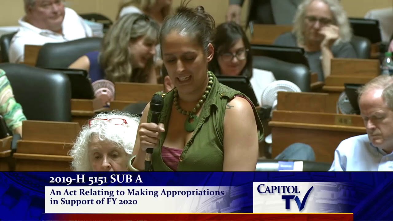 2019-06-22 House Budget - Representative Moira Walsh
