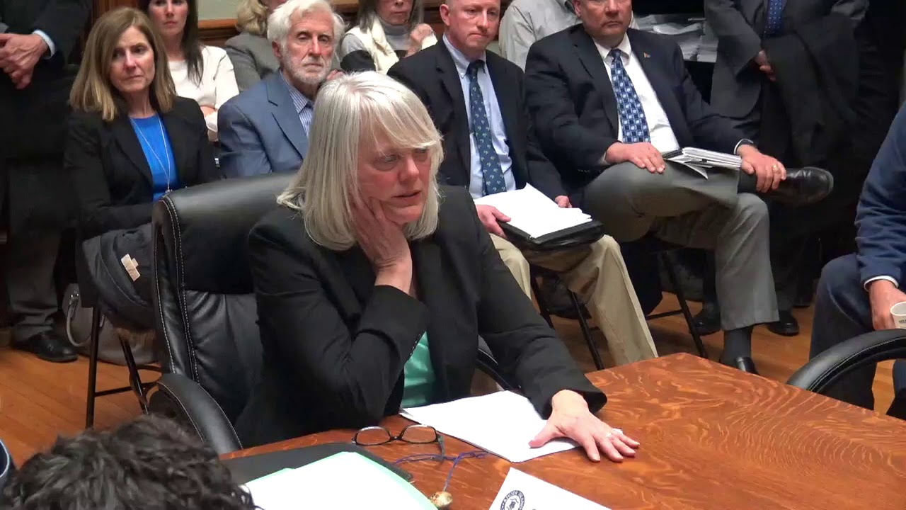 2019-02-27 Senate Environment - Environmental Justice