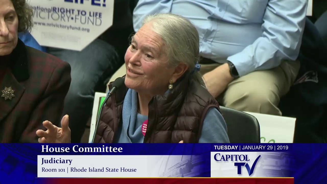 2019-01-30 House Judiciary 11