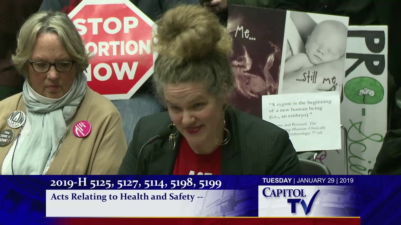 2019-01-30 House Judiciary 35