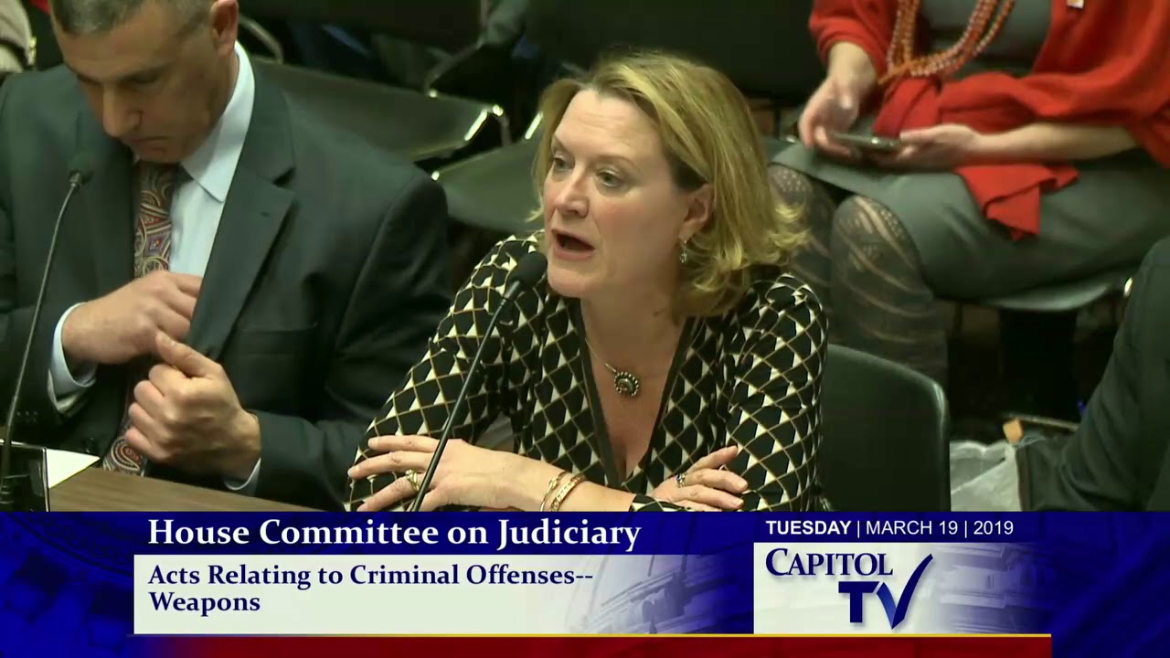 2019-03-19 House Judiciary - Guns 22