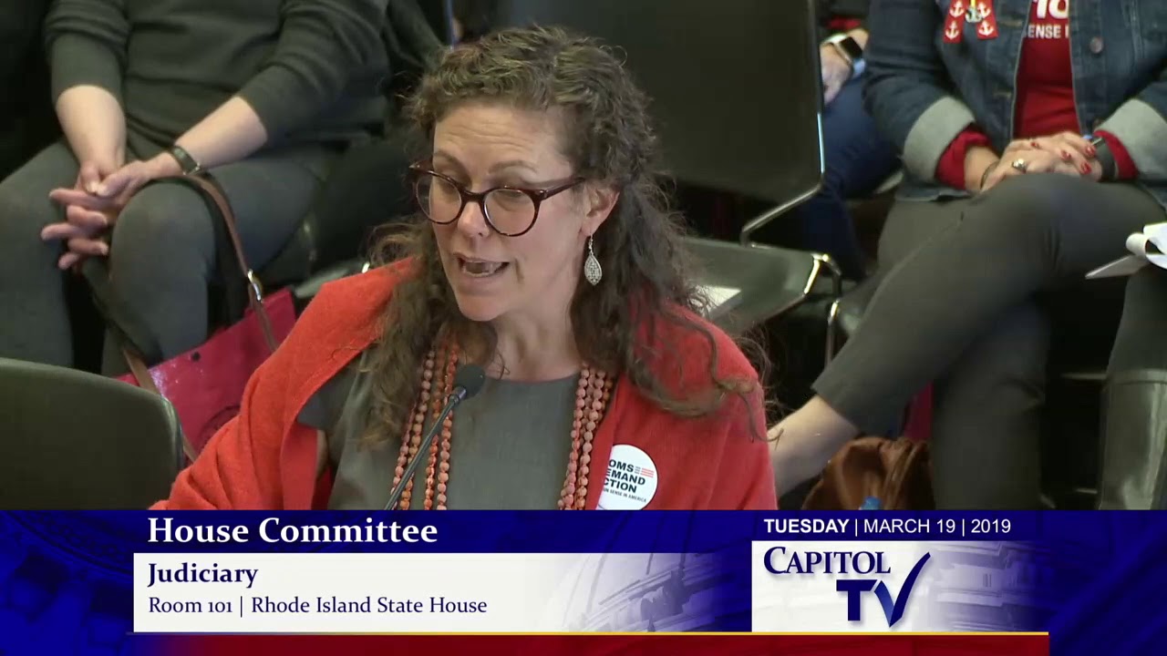 2019-03-19 House Judiciary - Guns 02