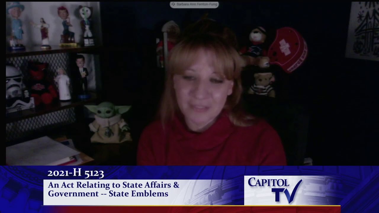 2021 02 01 HOUSE SPECIAL LEGISLATION H5123   HD 720p