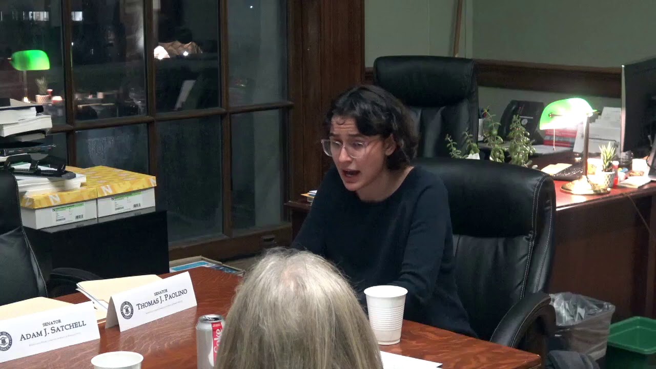 2020-02-04 Doula Bill Senate 21